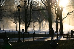 central_park_by_desmes.jpg