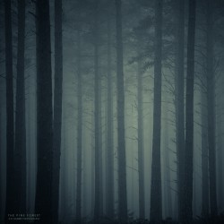 the_pine_forest_by_pheelfresh.jpg